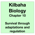 Biology Chapter 10 - Survival through Adaptations and Regulation